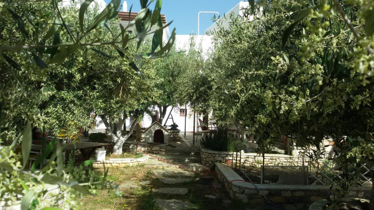 Sunset Studios And Apartments For Adults Over 21 Only Науса Экстерьер фото